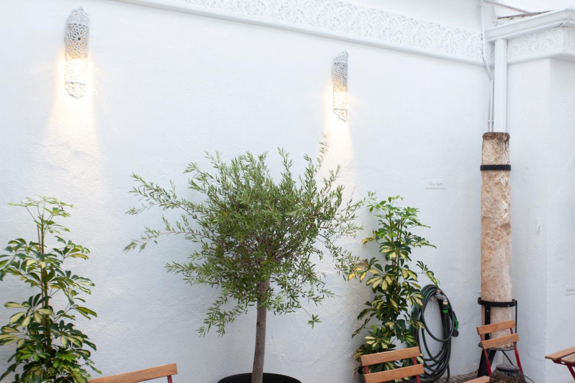 Altabib Riad Córdoba Kültér fotó